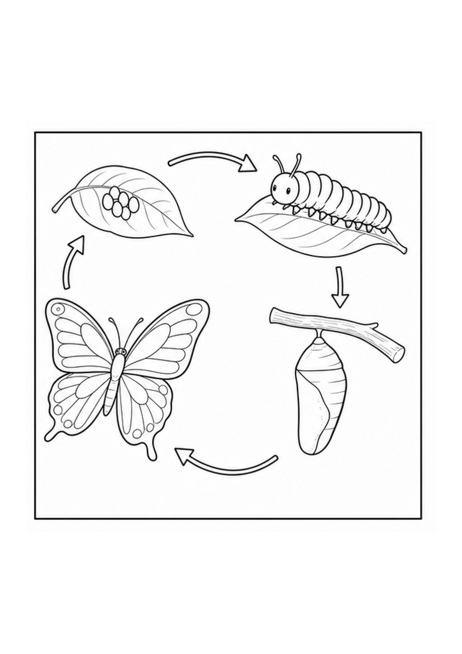 Bug Detectives Colouring Pack page 3 preview