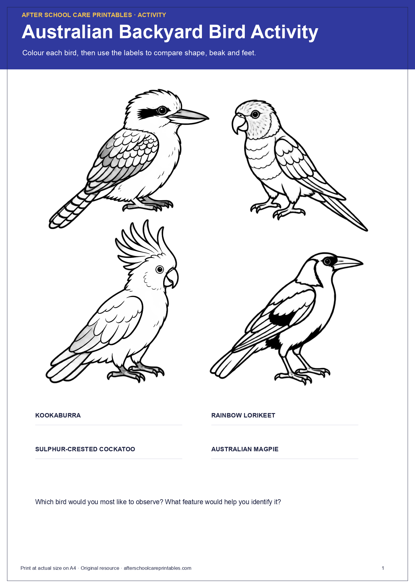 Australian Backyard Bird Activity activity page preview
