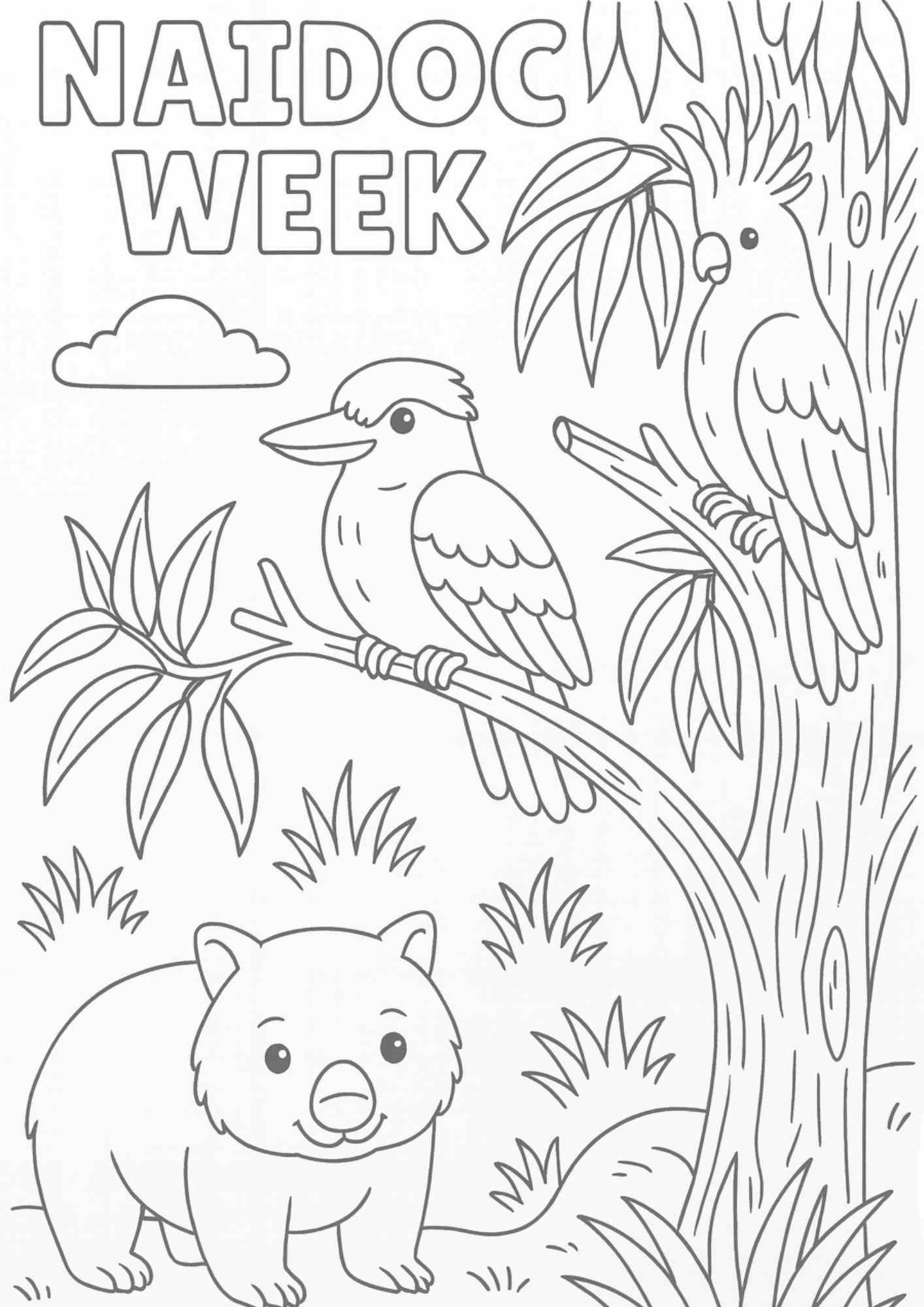 NAIDOC Week Australian Animal Colouring Page